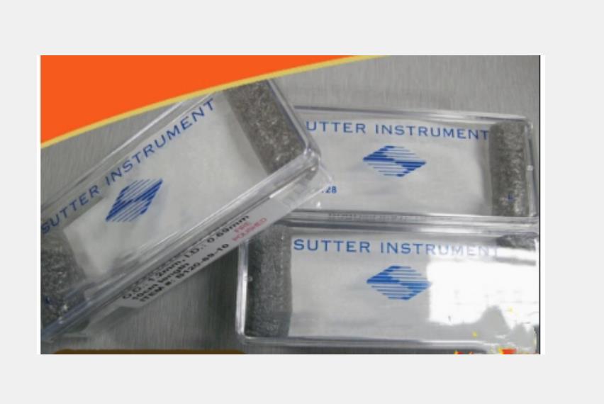 SUTTER 有芯薄壁硼硅酸盐玻璃