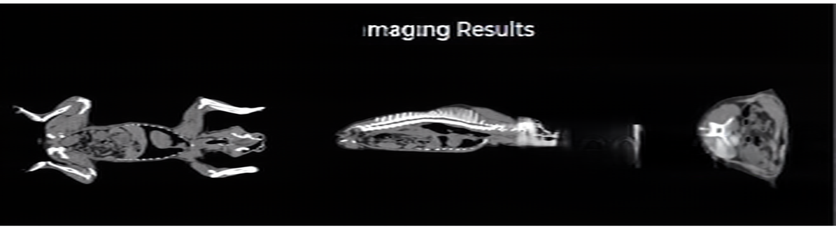 202504141616458493184.png