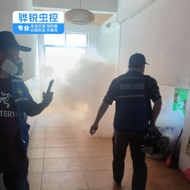 龙岗杀虫灭鼠中心 食堂杀虫灭鼠灭蝇