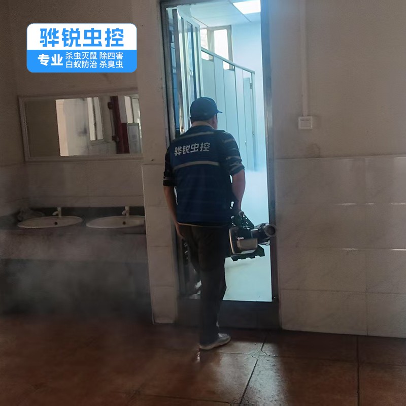 白云除四害方法 工厂杀虫灭鼠除蟑螂
