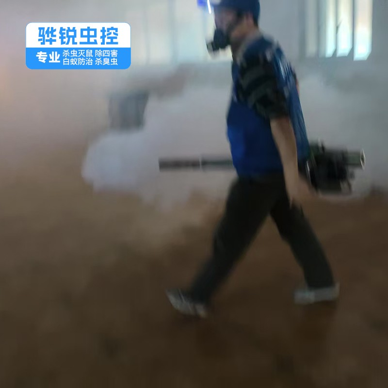 黄羌杀虫灭鼠公司 工厂消杀灭蝇