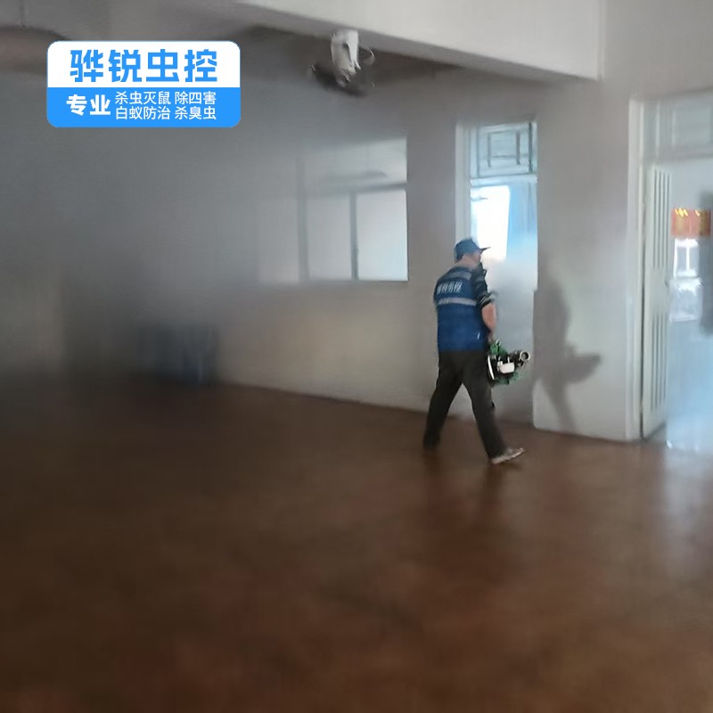 淡水白蚁防治公司 工厂杀虫灭鼠灭苍蝇