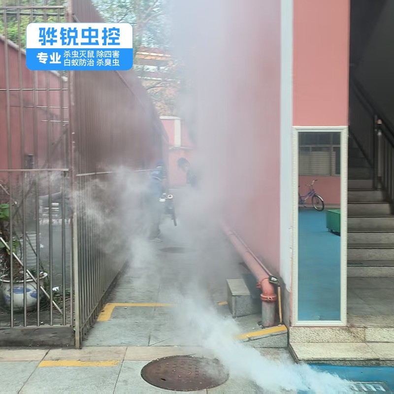 从化白蚁防治机构 工厂杀虫灭鼠灭蚊蝇