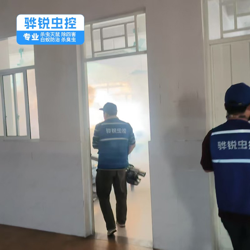 黄埔除四害公司 工厂杀虫灭鼠灭蚊