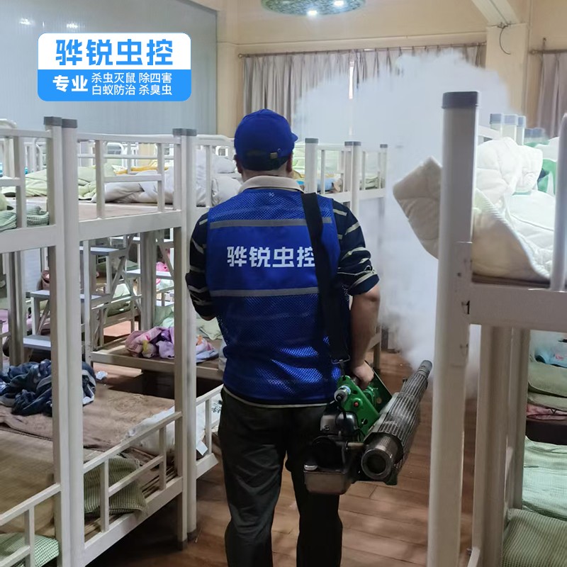 罗湖白蚁防治机构 工厂灭鼠灭蝇