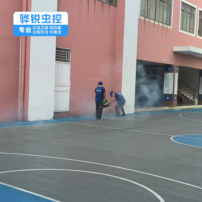 南沙杀虫灭鼠电话 宿舍杀臭虫灭苍蝇