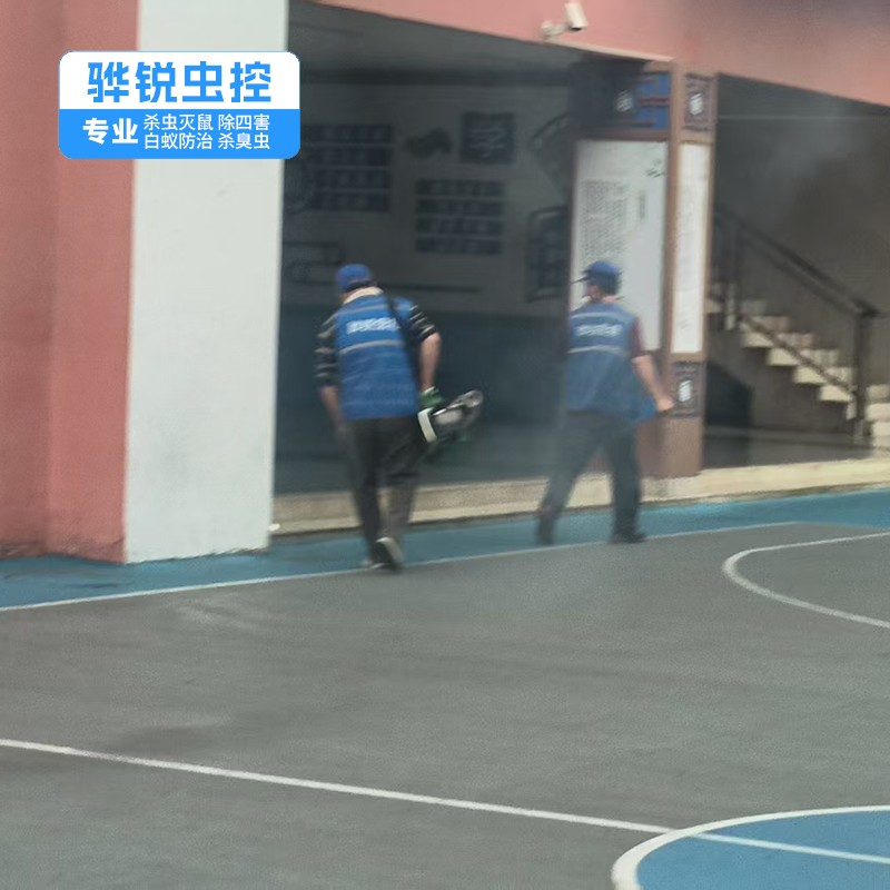 坪山杀虫公司 工厂杀虫灭鼠灭蝇