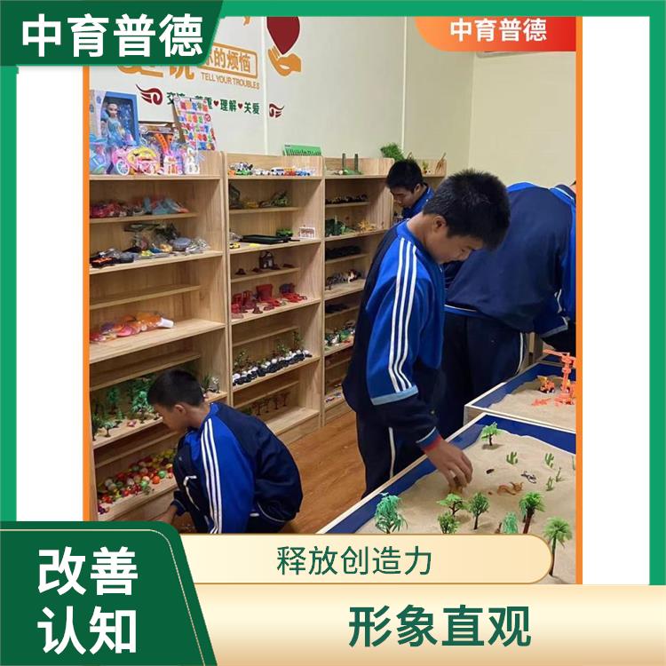 操作简单 有利于集中和加强心理注意力 心理沙盘设备厂家直营店