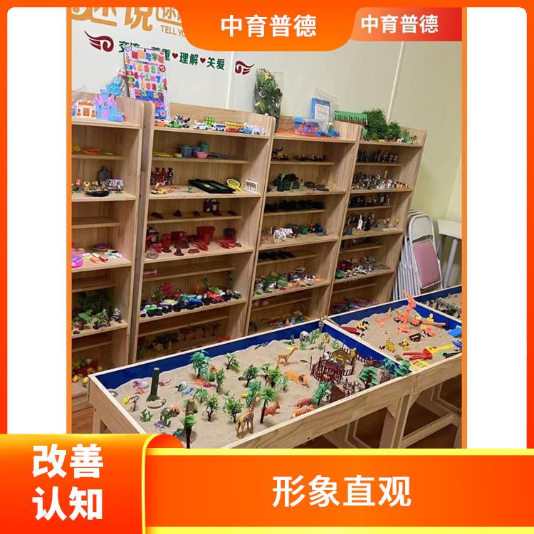 灵活性强 利用摆放箱庭景色投射内心世界 心理沙盘设备供应商