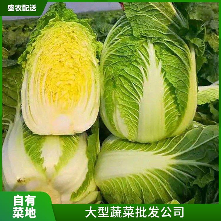 杭州市饭堂食材配送服务公司 配送蔬菜服务公司 提供一站式平价蔬菜配送服务