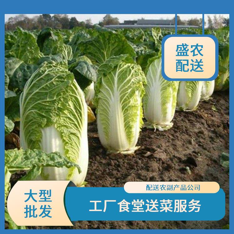杭州市饭堂食材配送服务公司 配送蔬菜服务公司 提供一站式平价蔬菜配送服务