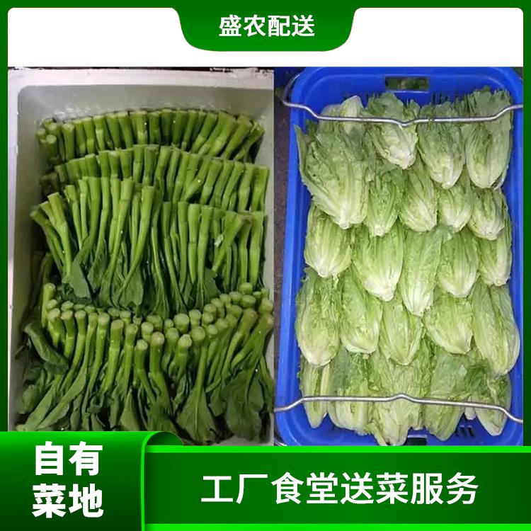 横岗饭堂食材配送服务公司 配送蔬菜服务公司 提供一站式平价蔬菜配送服务