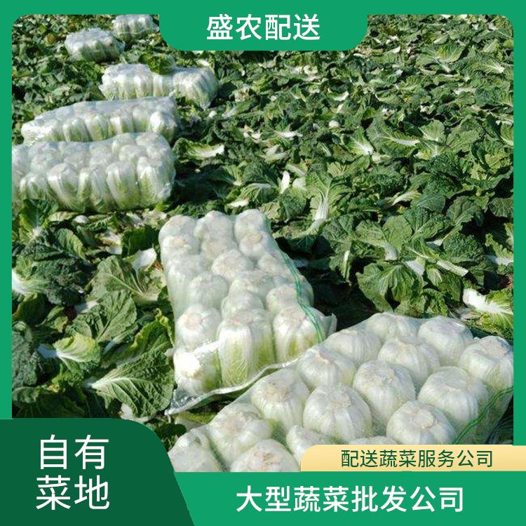 横岗饭堂食材配送服务公司 配送蔬菜服务公司 提供一站式平价蔬菜配送服务