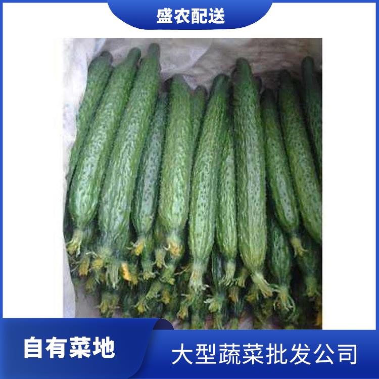 台山饭堂食材配送服务公司 配送蔬菜服务公司 大型批发市场提供平价送菜服务