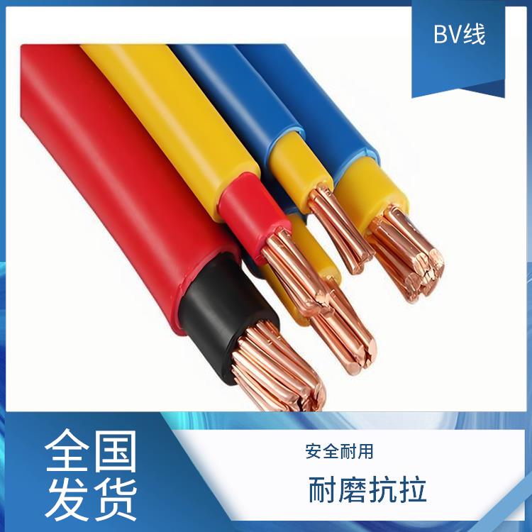 福州BV接地线 BV接地线 规格多样