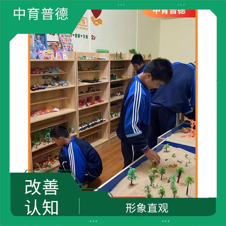 心理沙盘基础版 实用性强 具有无意识意识化