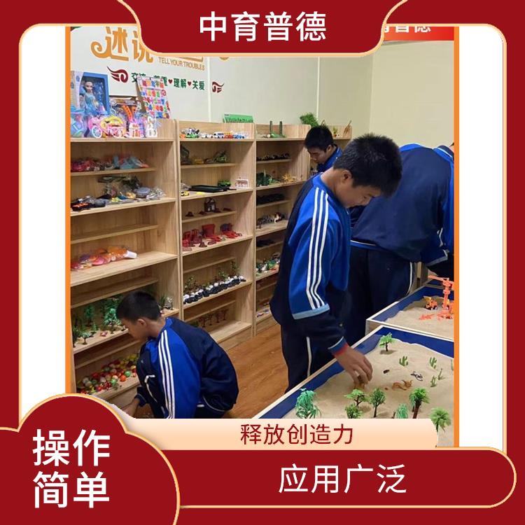 疏导情绪 树立正确信念 心理沙盘基础版