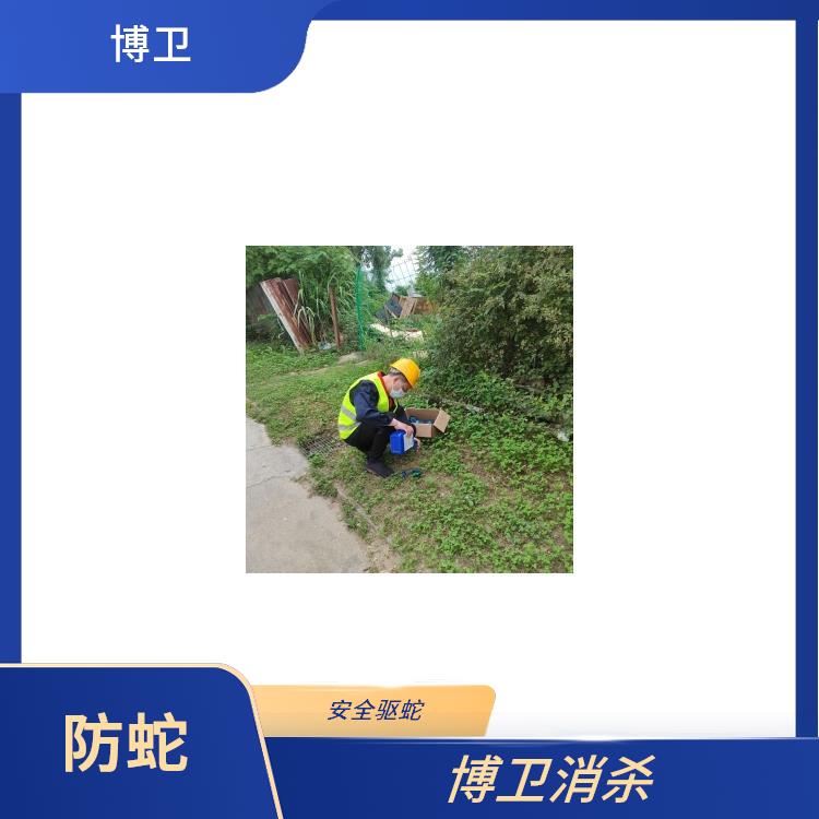 蛇进入车内应对 屋里进了蛇怎么办 江西化学驱蛇