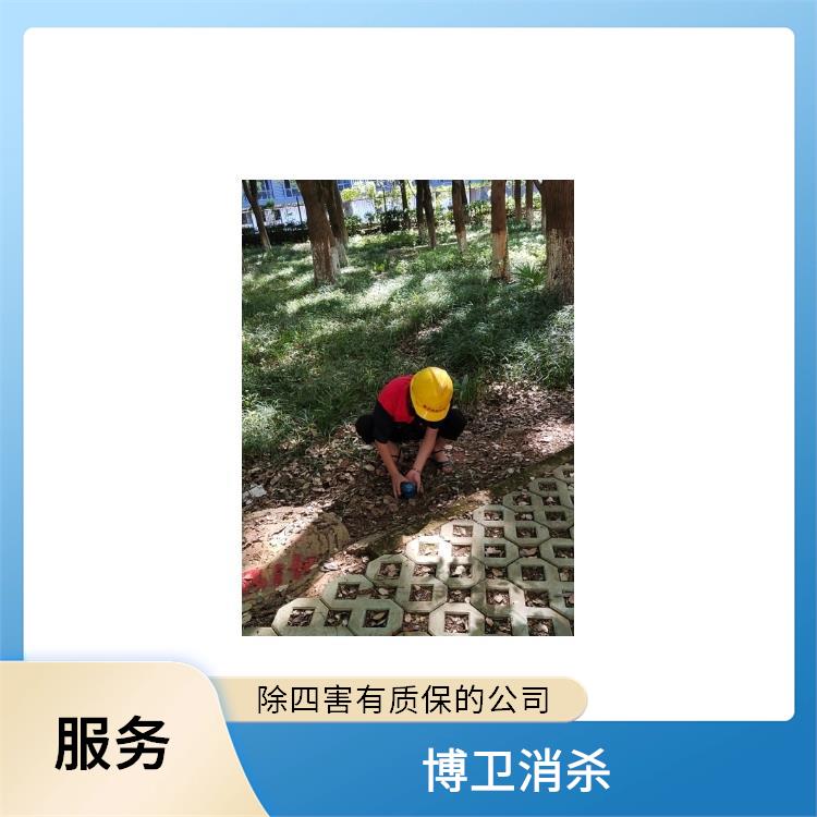 蛇进入车内应对 屋里进了蛇怎么办 江西化学驱蛇