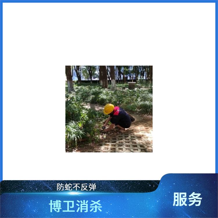 西湖区驱蛇效果好 博卫驱蛇公司 一次性除四害