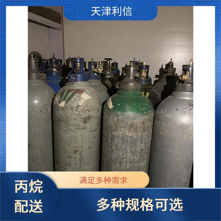 天津宁河区丙烷供应站 利信 满足多种需求 及时补充气体供应