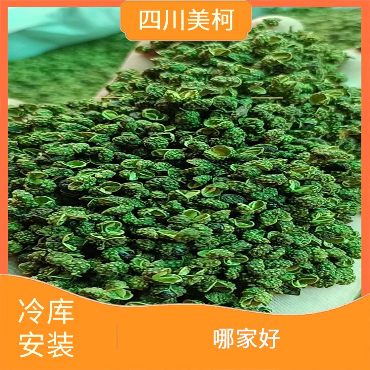 龍馬潭凍庫壓縮機 什邡果蔬冷庫設計 農(nóng)業(yè)基地