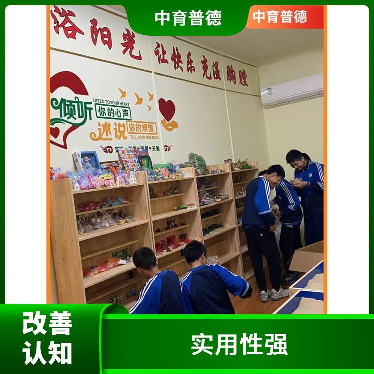 心理沙盘设备定制 发挥自主性