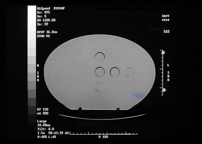 CIRS 002H5 IMRT模体