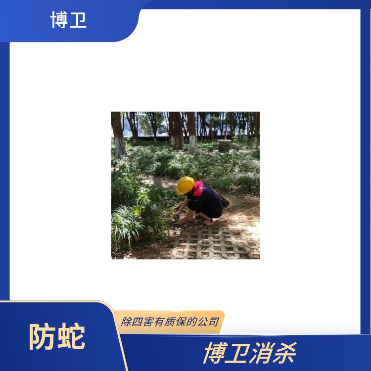 除四害团购 屋里进了蛇怎么办 新建区捕蛇驱蛇