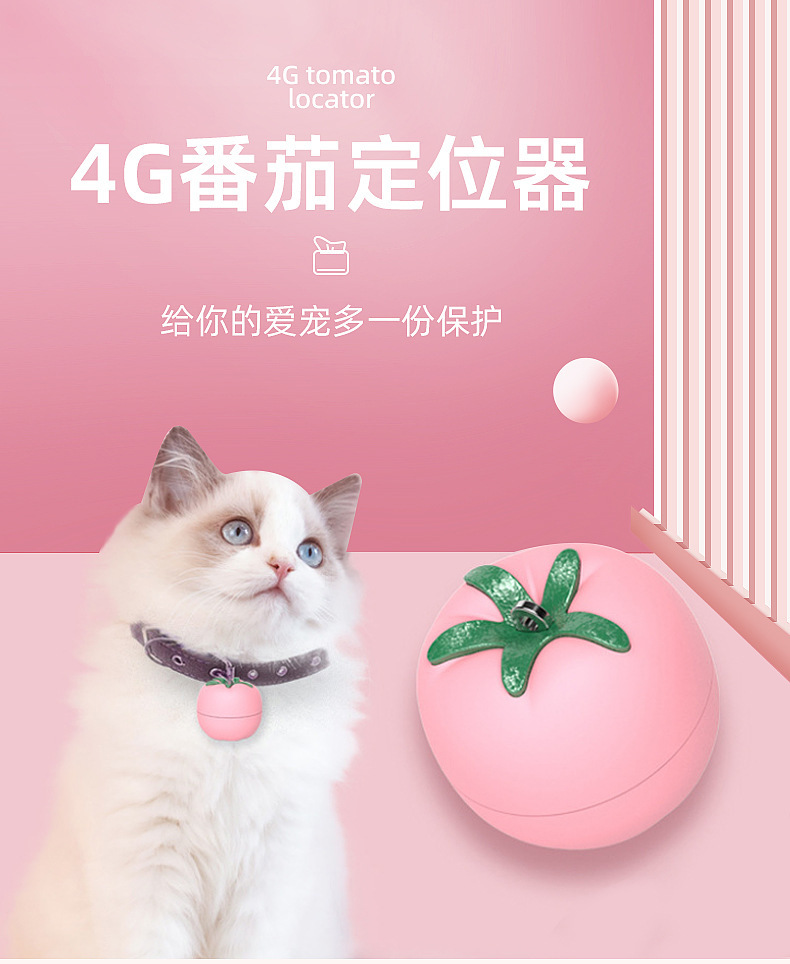 宠物番茄定位器