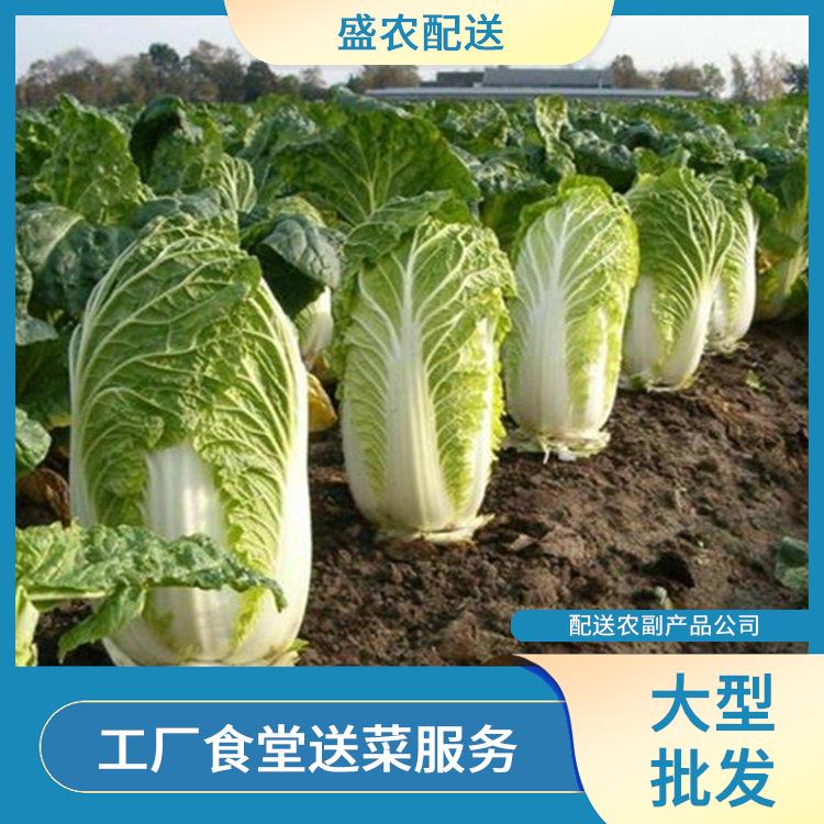 肇庆饭堂食材配送服务公司 工厂食堂送菜服务 提供一站式平价蔬菜配送服务