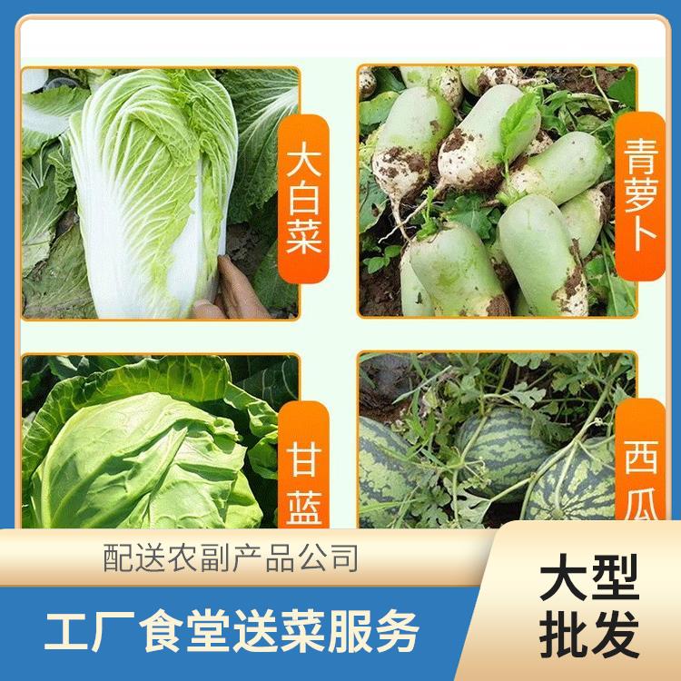 道滘饭堂食材配送服务公司 配送蔬菜服务公司 提供一站式平价蔬菜配送服务