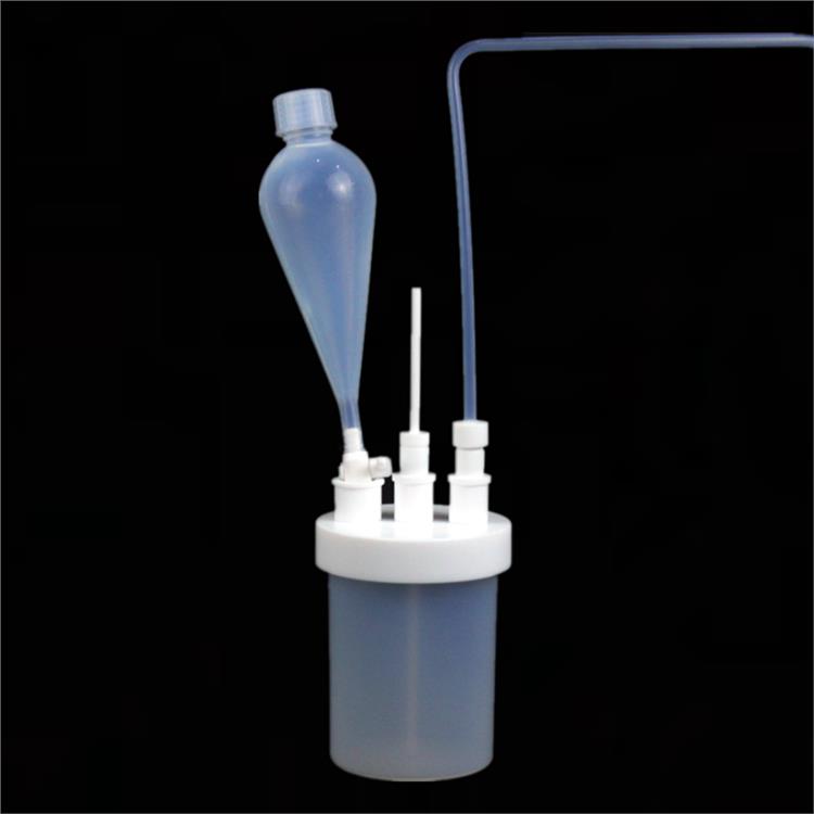 南京定制特氟龙反应釜3000ml RNKS-FYP