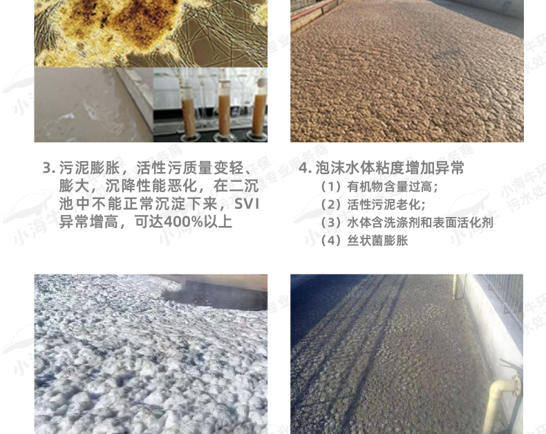 活性污泥03-01_04 - 副本