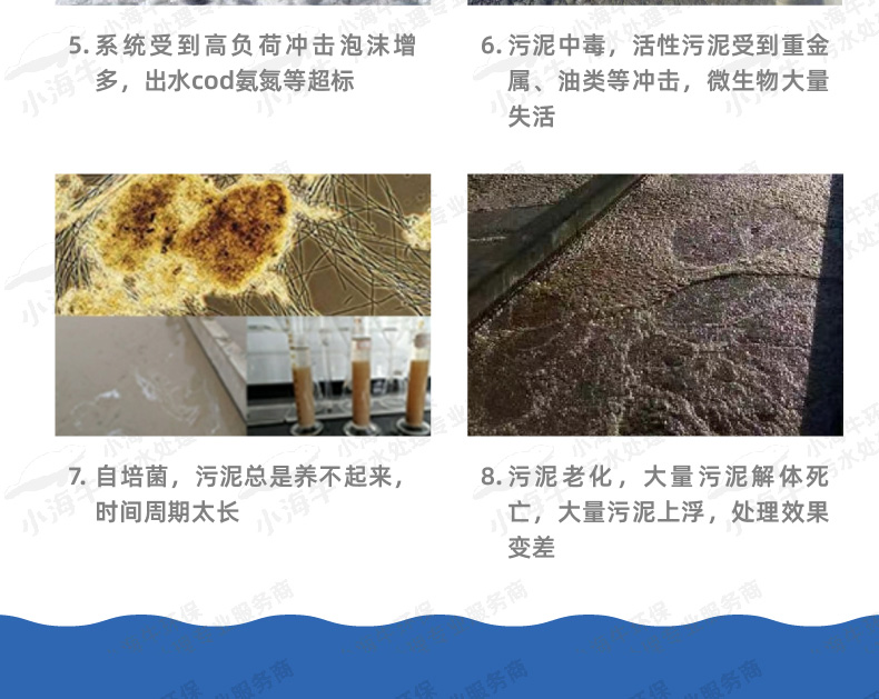 活性污泥03-01_05 - 副本