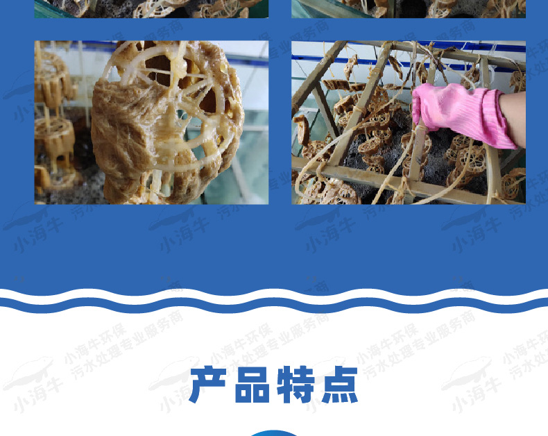 活性污泥03-01_08