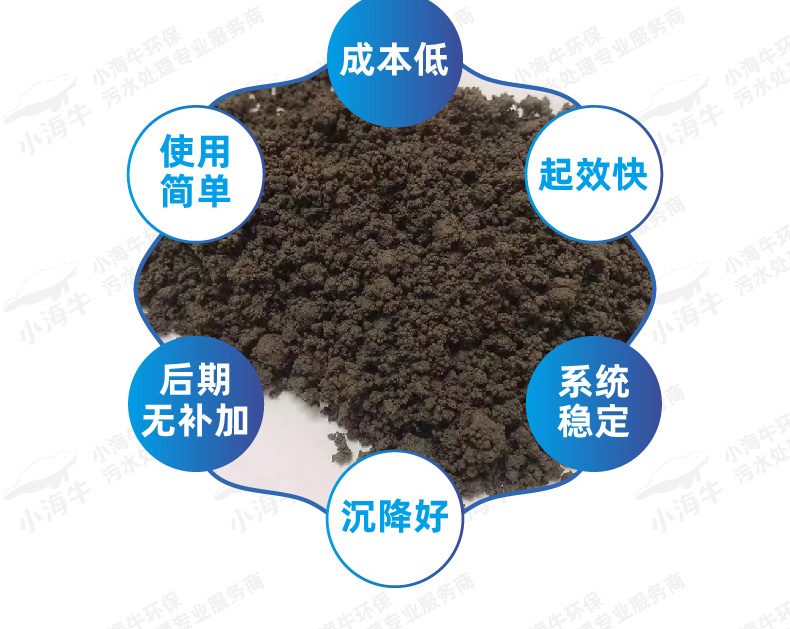 活性污泥03-01_09