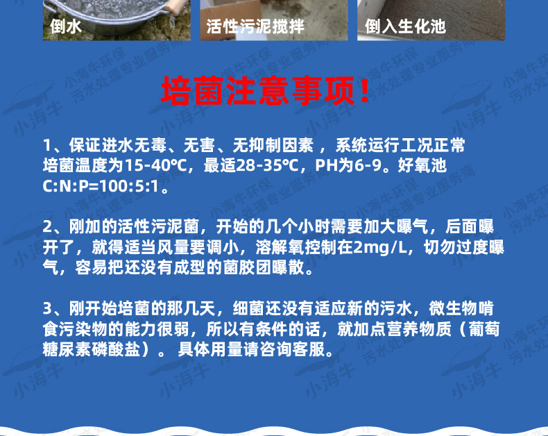 活性污泥03-01_15