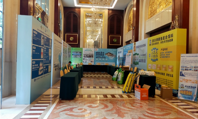 东莞市户外活动桌椅出租公司