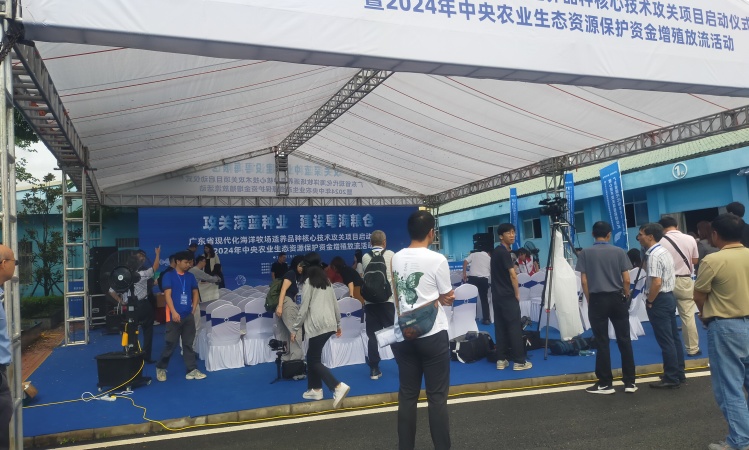 广州市活动策划方案电话