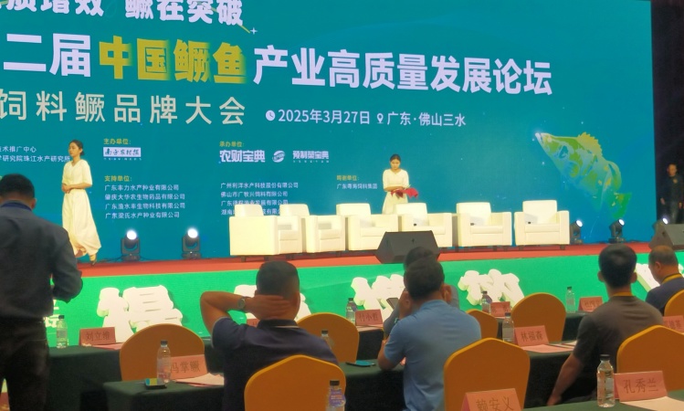 惠州市学校活动策划公司