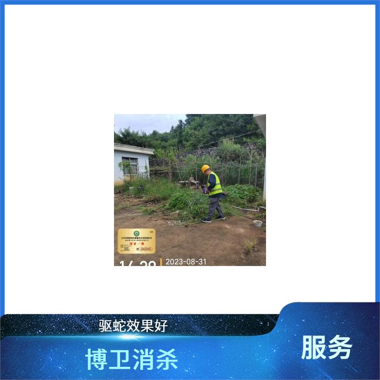安义县家庭驱蛇 怎样驱蛇