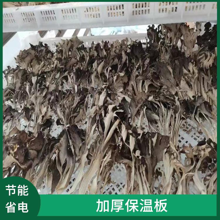 通川冻库保温板 芦山小型冻库设备 报价表