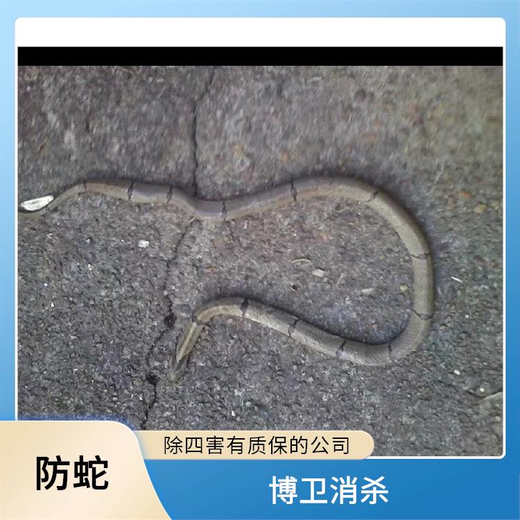防蛇灭鼠 四害消杀效果好的公司