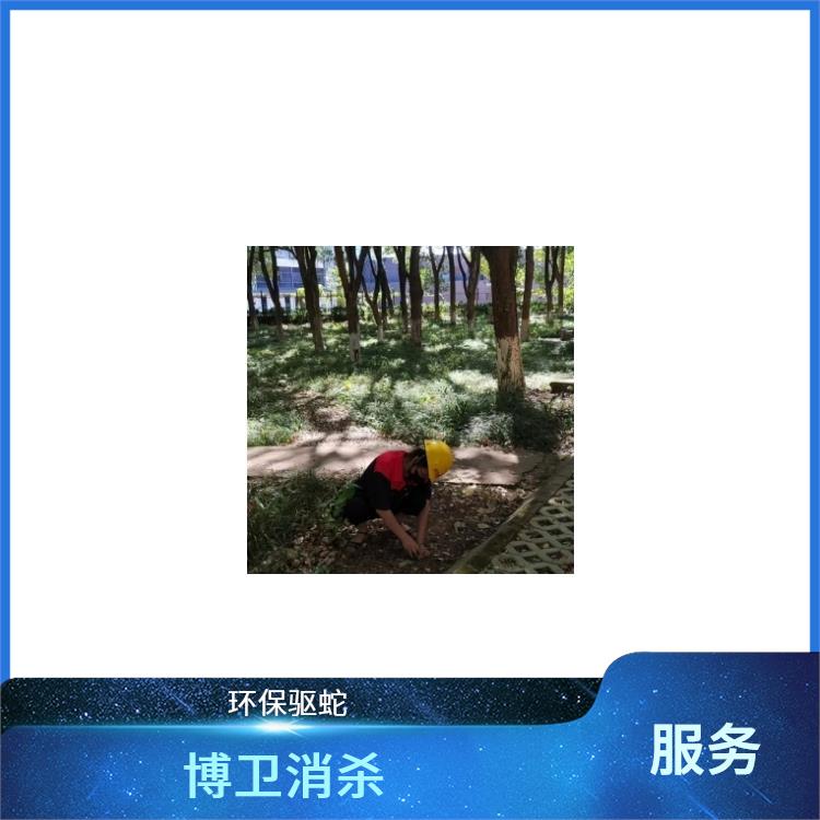 安全可靠 驱蛇服务 捕蛇驱蛇
