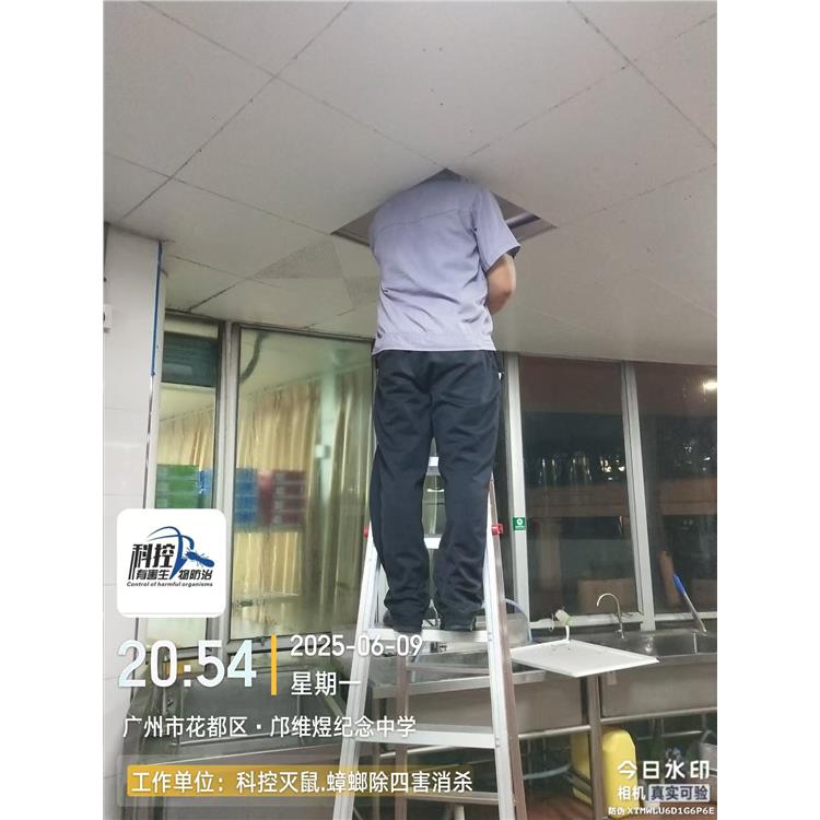 白云害蟲防治 售后完善
