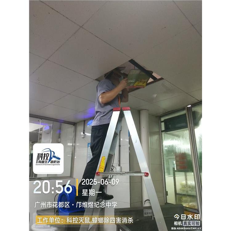 廣州花都區(qū)食堂滅螞蟻