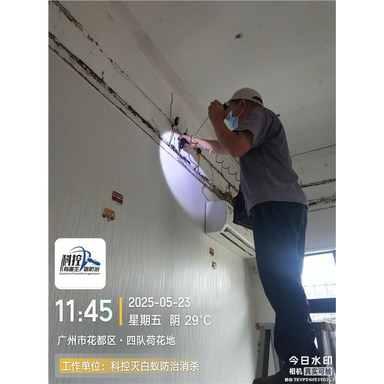 大塘鎮(zhèn)工廠消殺老鼠 團隊服務(wù)