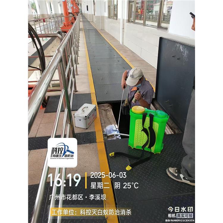 白云害蟲防治 售后完善