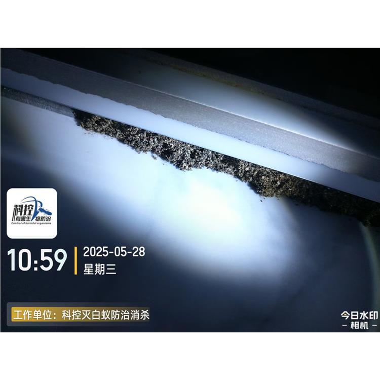 花都GMPC白蟻防治 經(jīng)驗(yàn)豐富